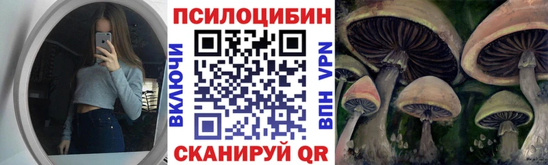 Псилоцибиновые грибы Magic Shrooms как найти закладки Приволжский