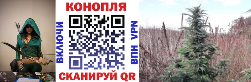 Конопля индика Приволжский